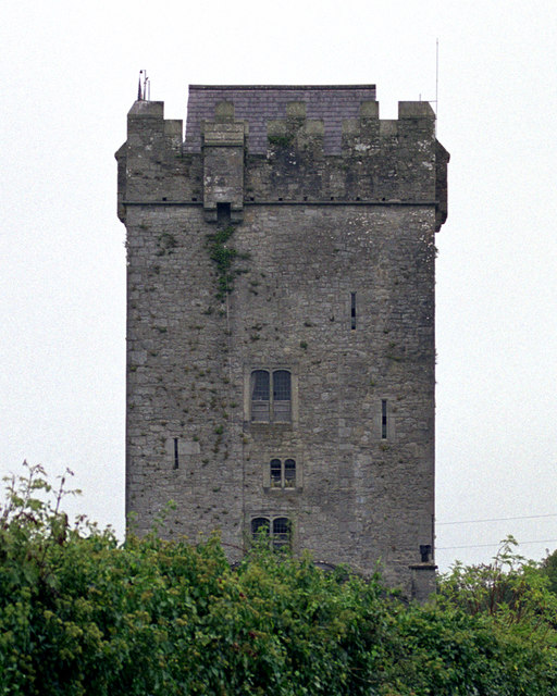 Ballyhannon Castle — Ireland castle
