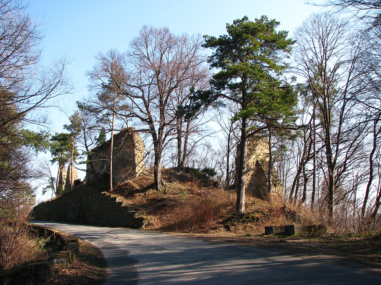 Roznów Castle Ruins — Poland castle