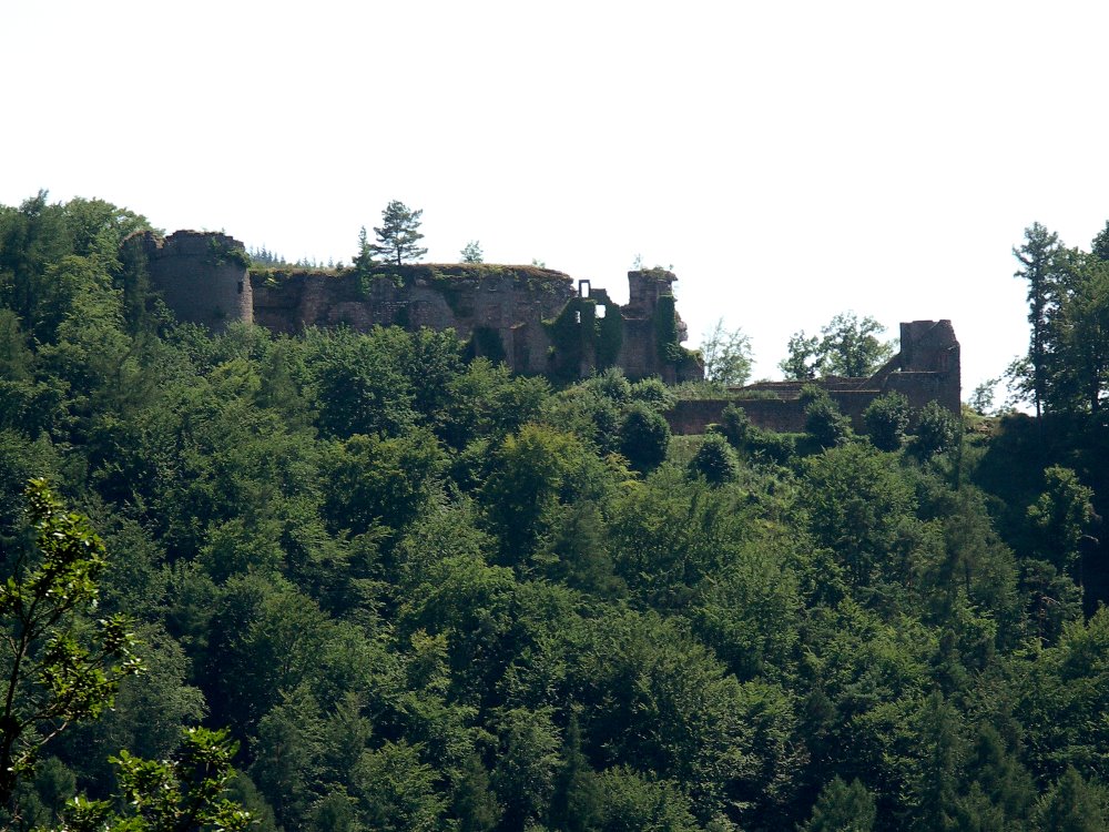 Neuscharfeneck Castle — Germany castle