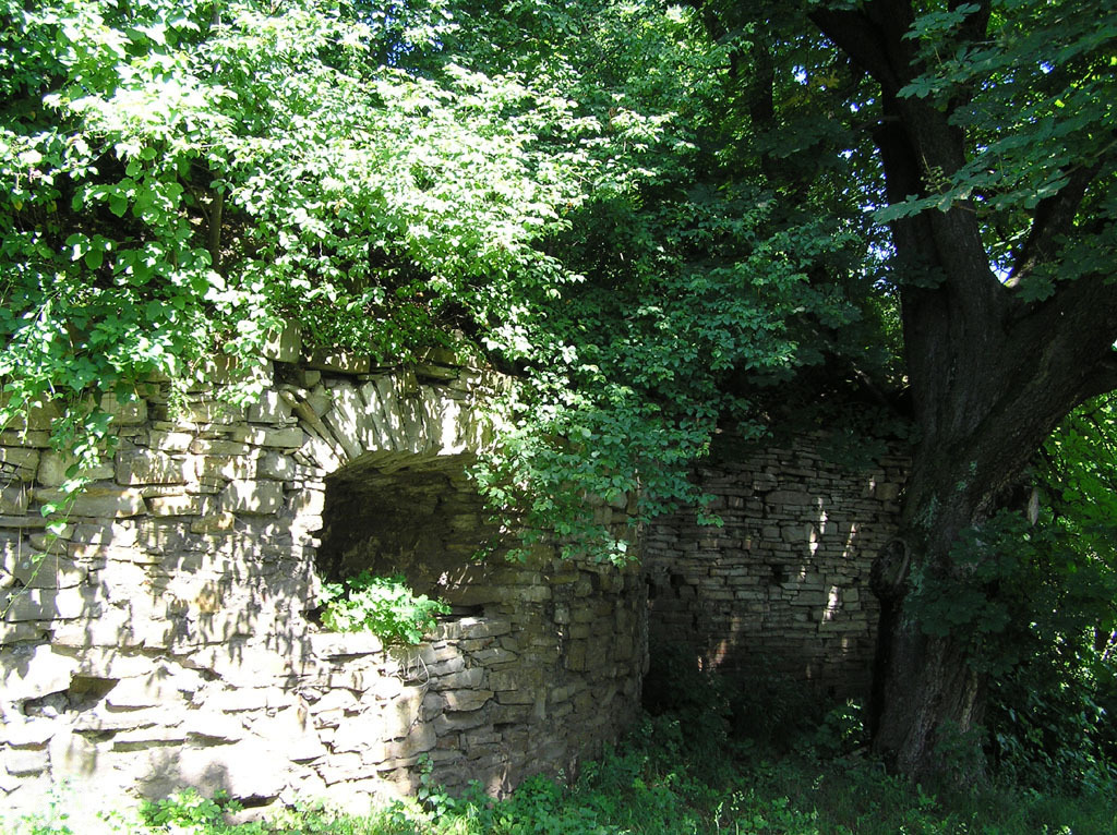 Yaniv Castle — Ukraine castle