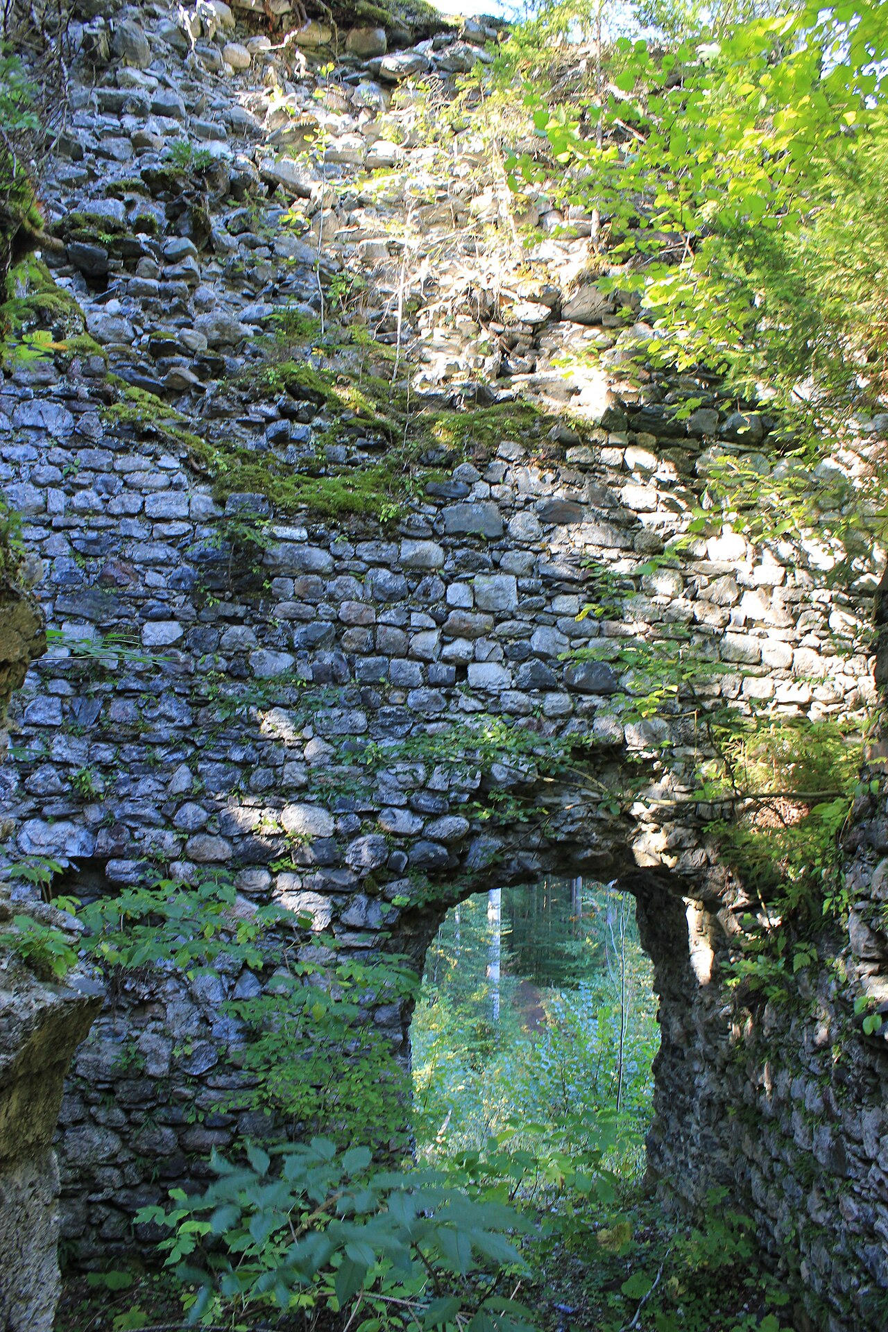 Burgruine Weidenburg — Austria castle