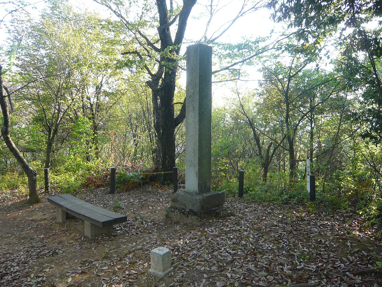 Sagiyama Castle — Japan castle