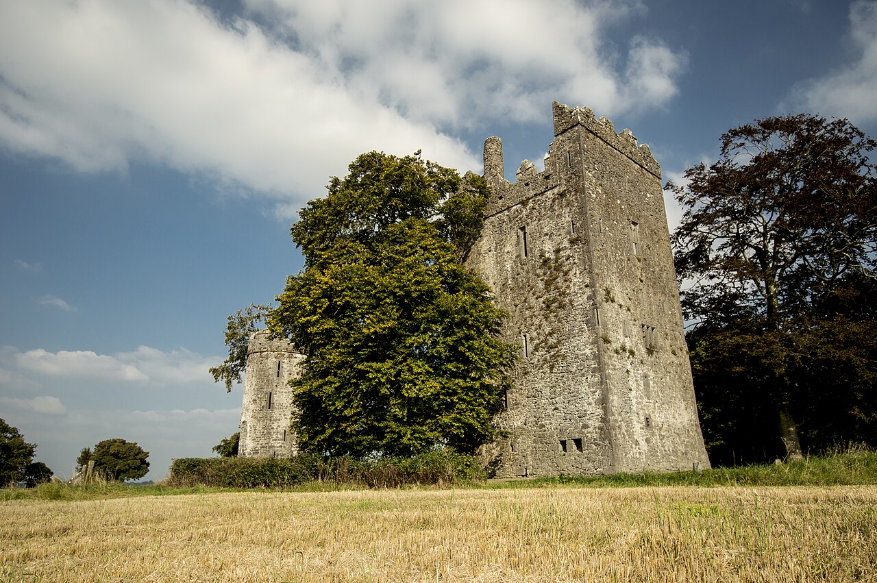 Burnchurch Castle — Ireland castle