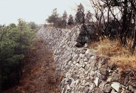 Seosaengpo Castle — Korea (Republic of) castle