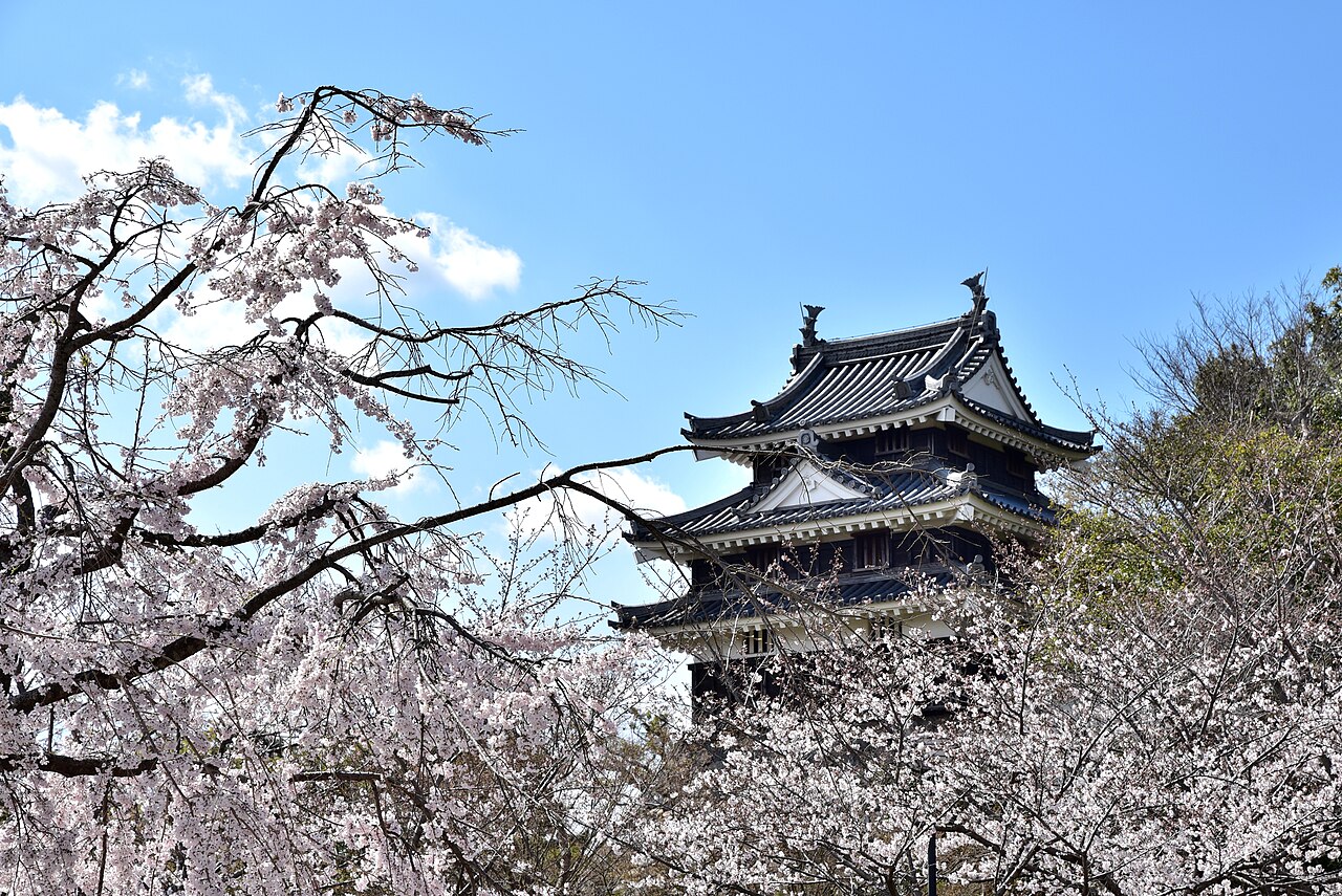 Nishio Castle — Japan castle