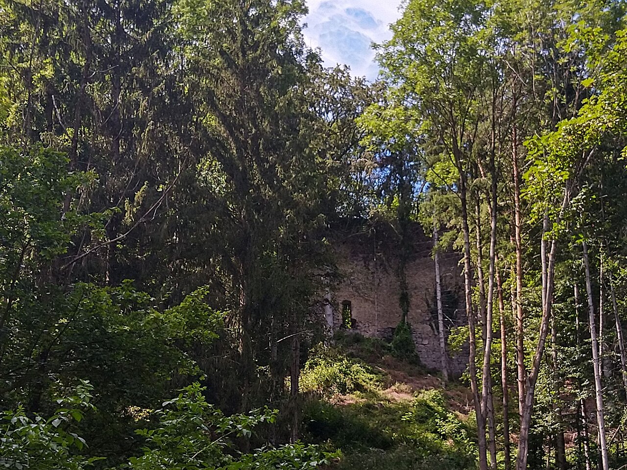 Burgruine Pfannberg — Austria castle