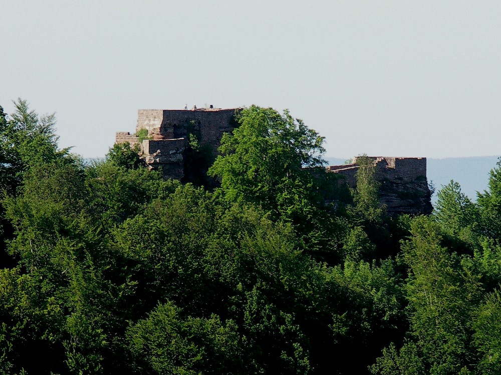 Wegelnburg Castle — Germany castle