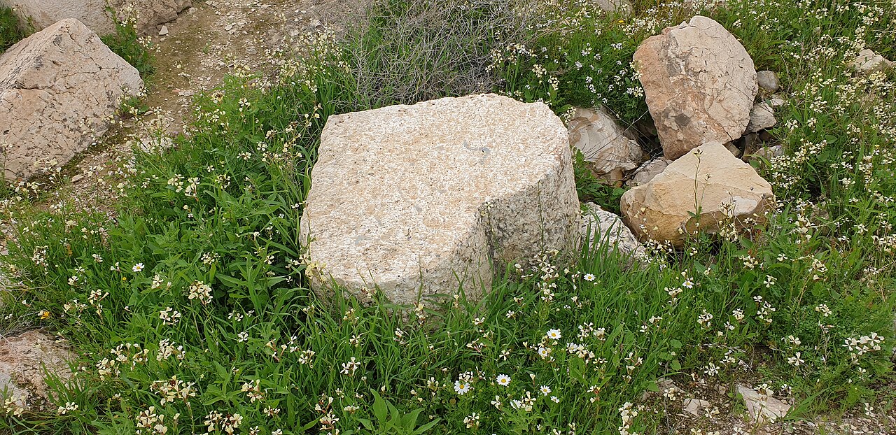 Alexandreion — Palestine, State of castle