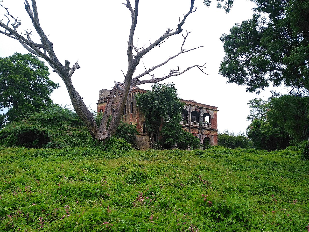 Fort St. David — India castle