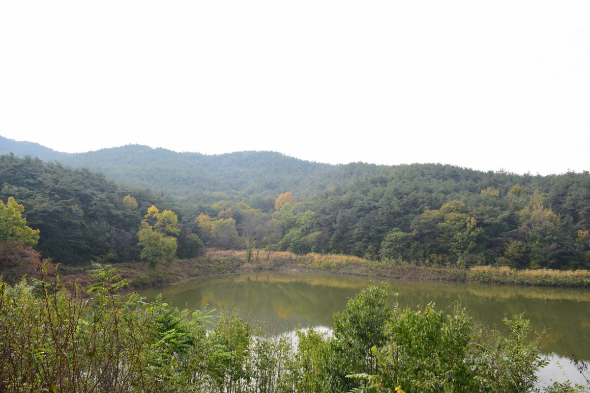 Namsansinseong — Korea (Republic of) castle