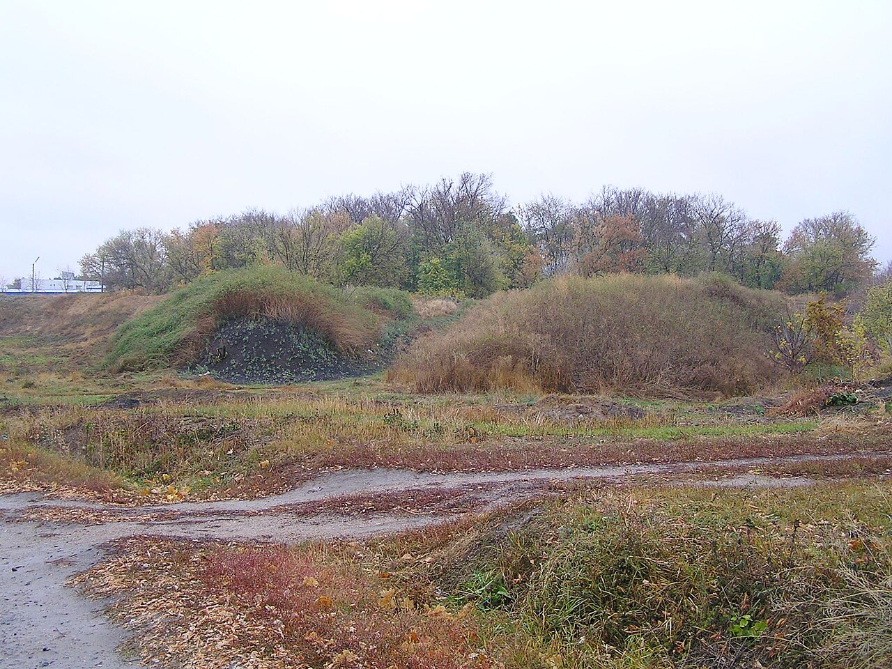 Bilevska fortress — Ukraine castle