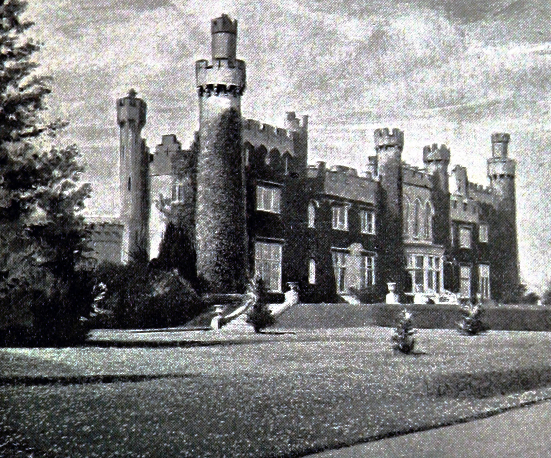 Luttrellstown Castle — Ireland castle