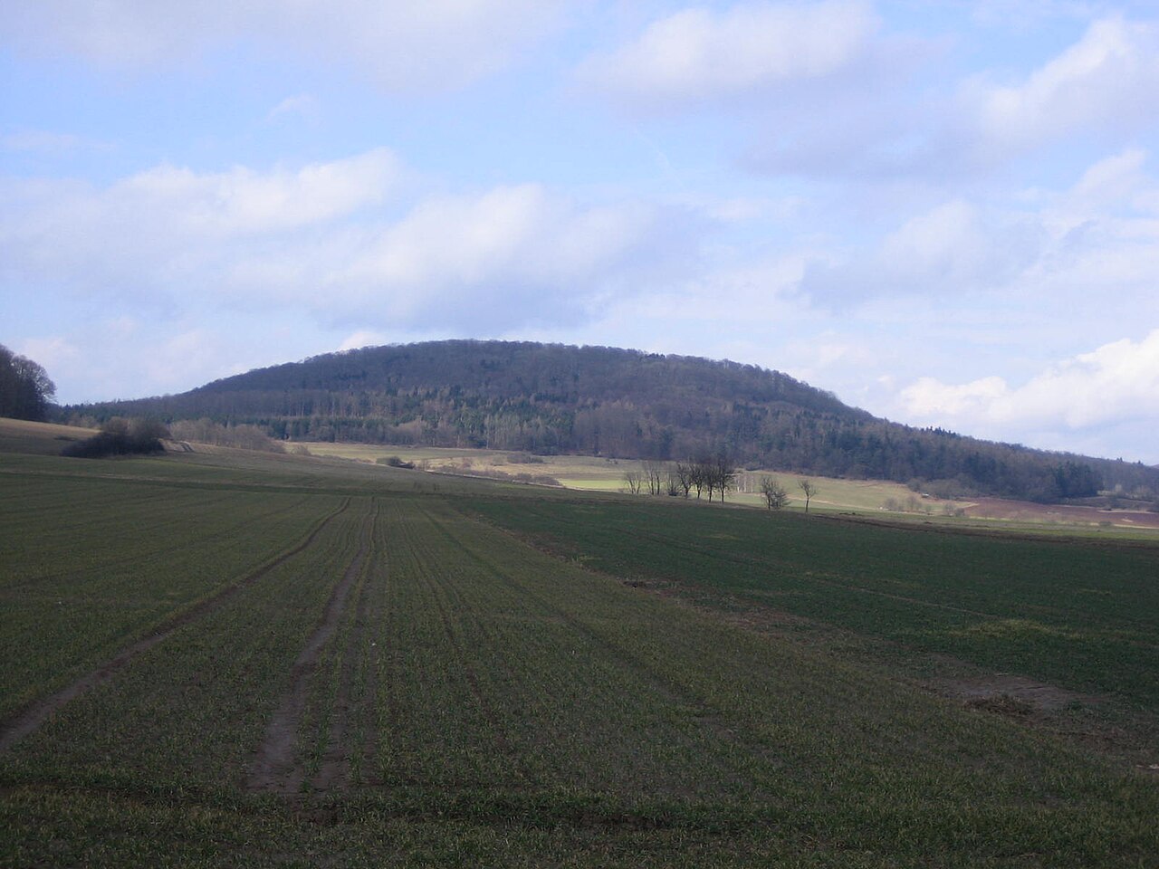 Altenburg — Germany castle