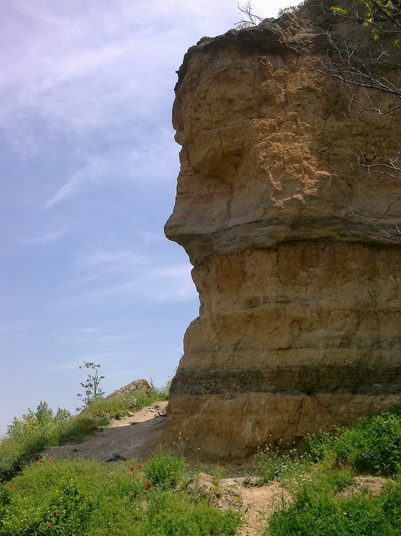 Bar Bar Castle — Iran (Islamic Republic of) castle