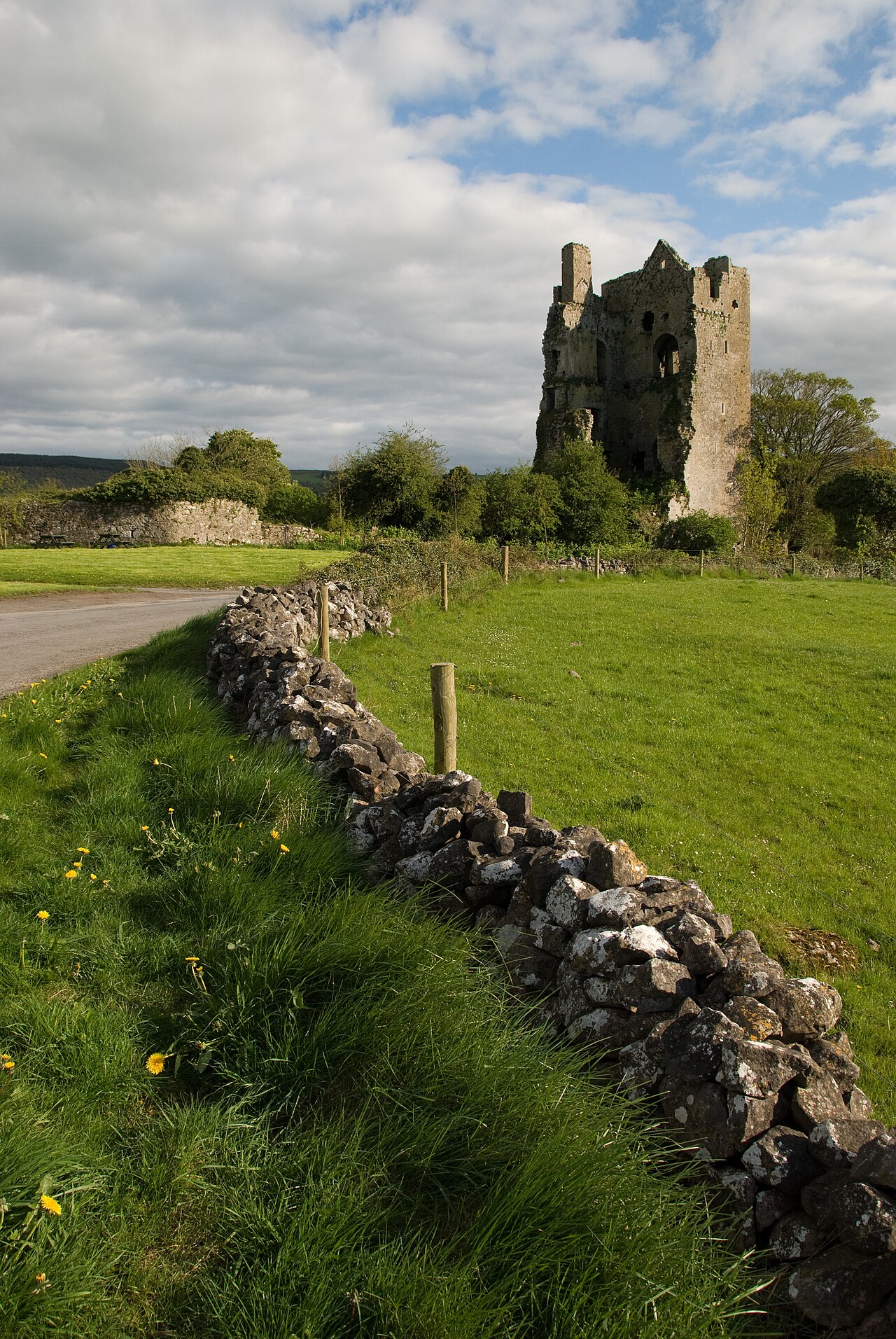 Cullahill Castle — Ireland castle