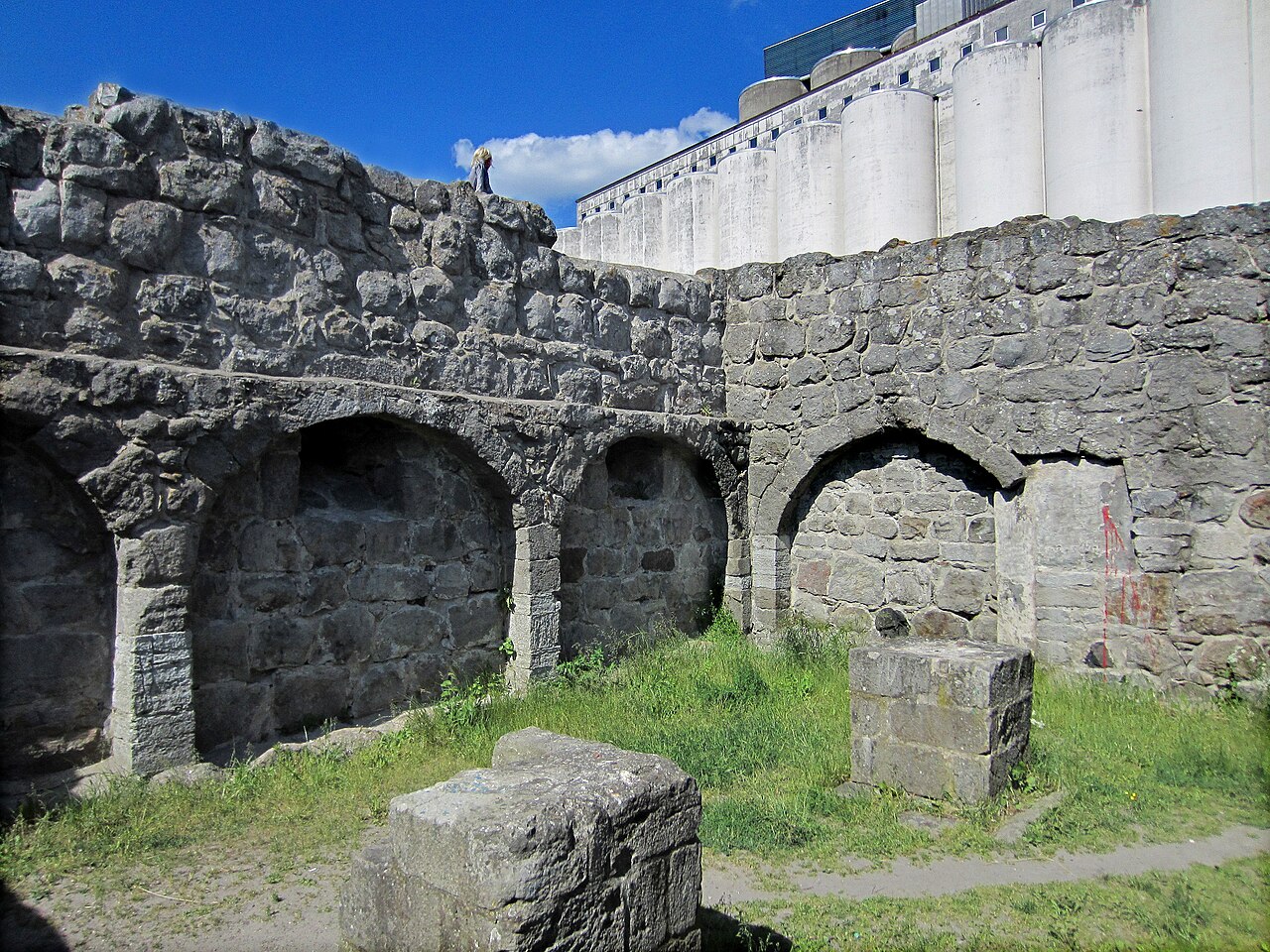 Aose Castle Ruins — Sweden castle