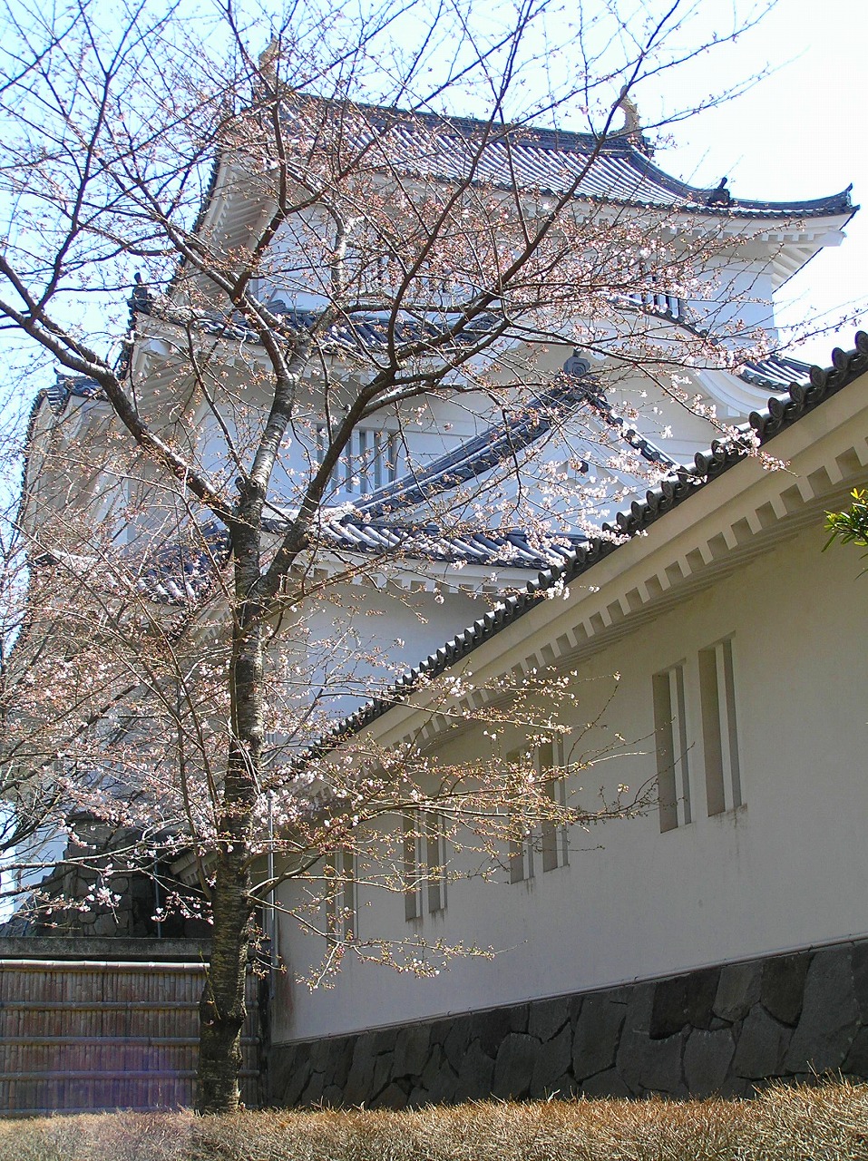Ōtaki Castle — Japan castle