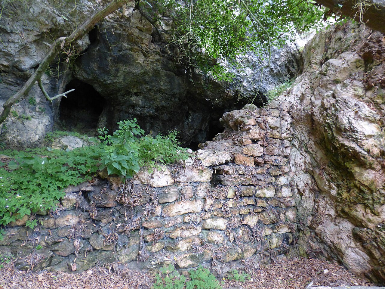 Burgruine Reinegg — Austria castle